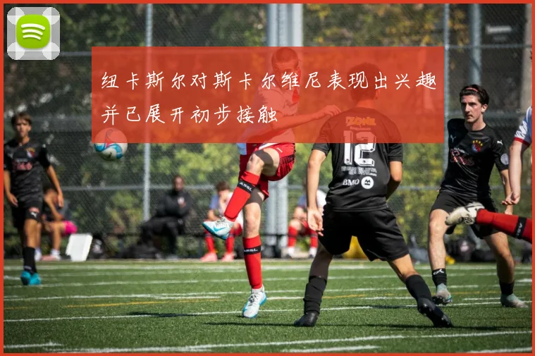 纽卡斯尔对斯卡尔维尼表现出兴趣并已展开初步接触
